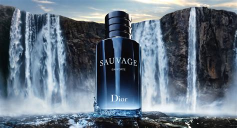 dior geurset heren